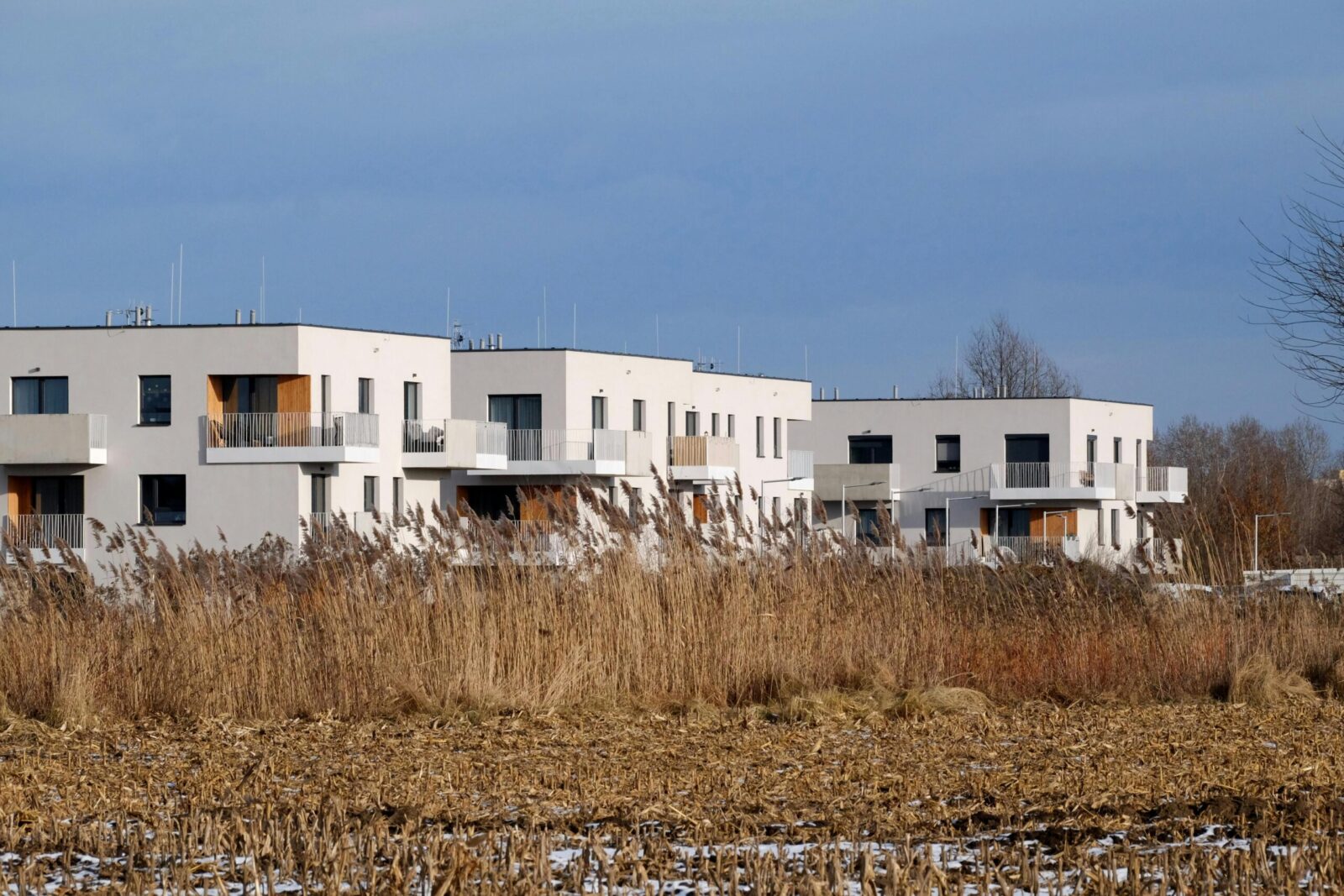 White modern apartments against a natural background during winter.
